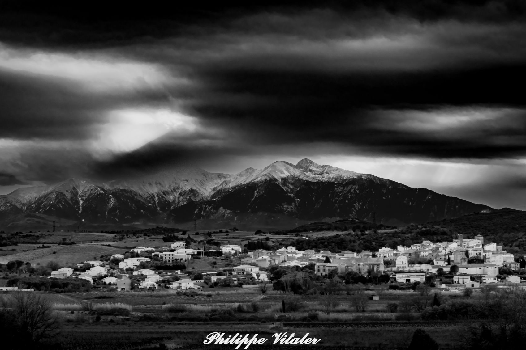 DSC_7670 (1)